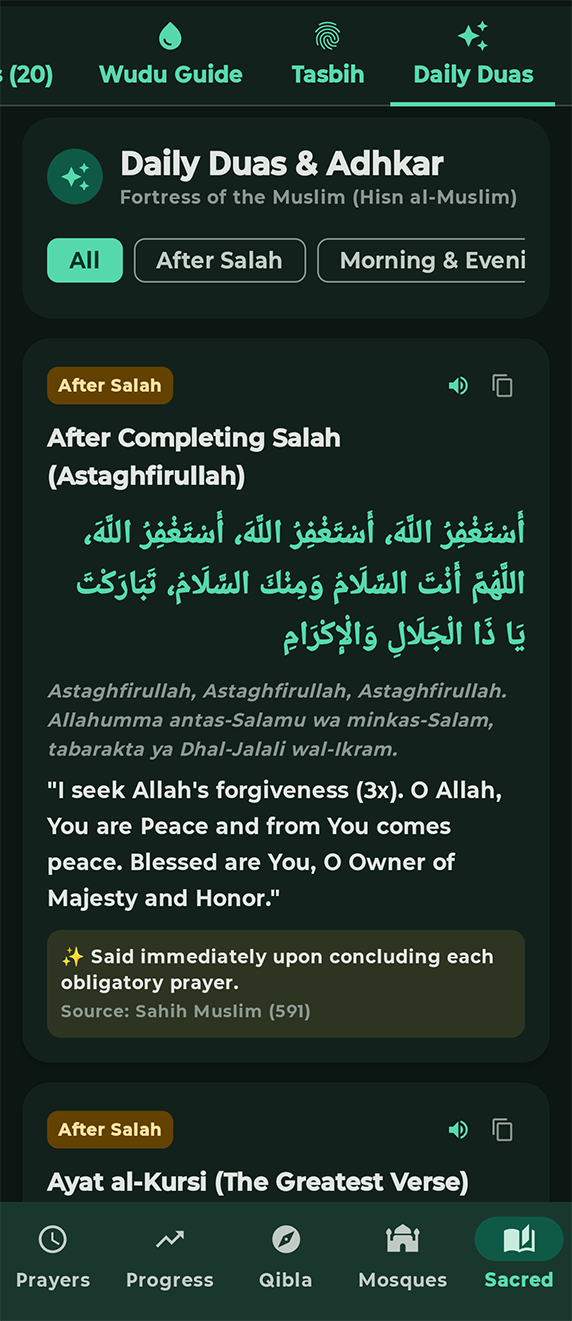 Screenshot 13